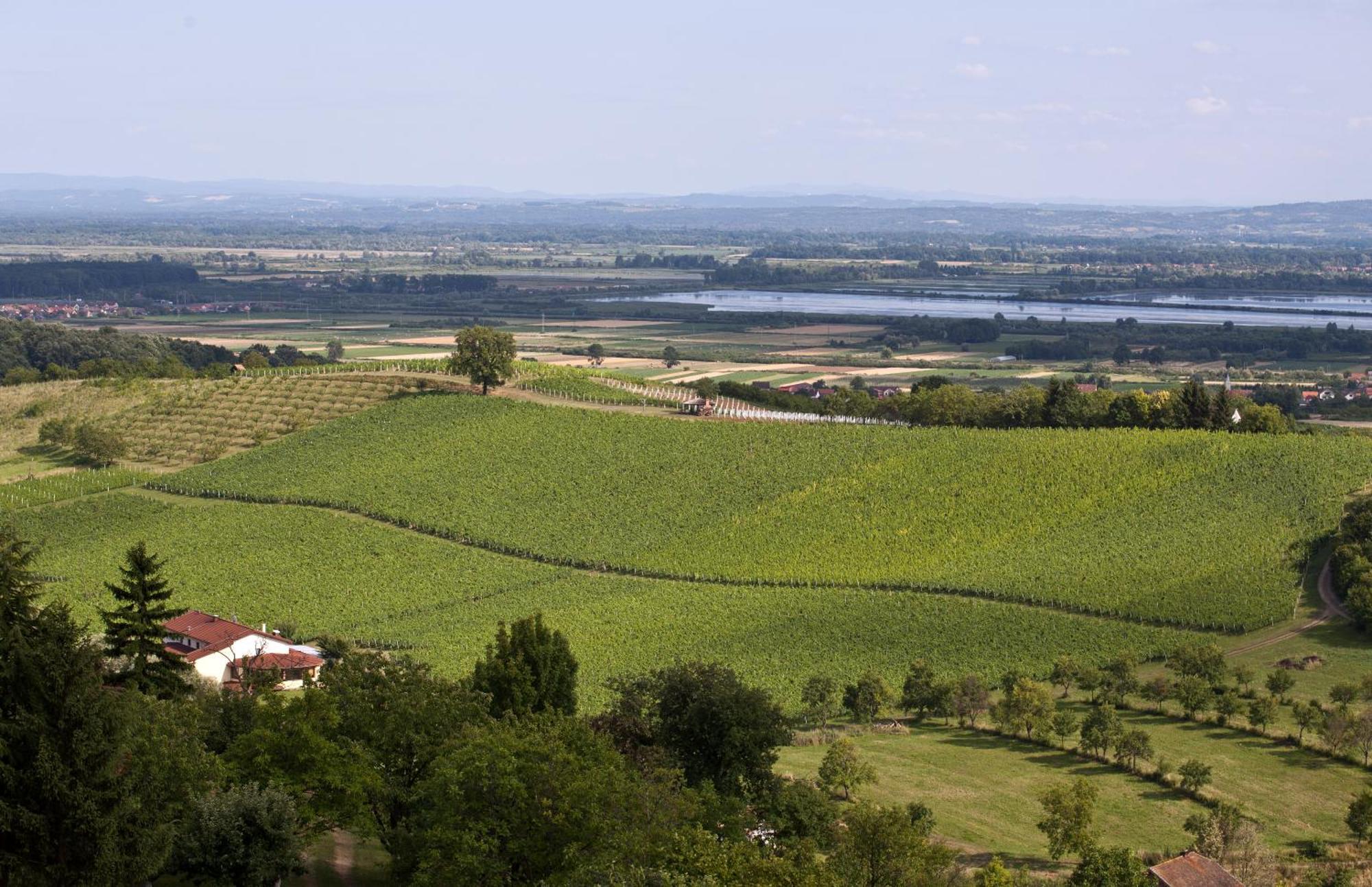 Stupnicki Dvori Winery Hotel 브로드스키스터프닉 외부 사진